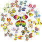 Outee 10 Packs Flying Butterfly Card Surprise Wind Up Butterfly In The Book Rubber Band Powered Gift Butterfly Fairy Flying Toy 