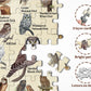 Owl Puzzles For Adults 1000 Pieces, Bird Animal Jigsaw Puzzle Features 21 Famous Owls Of North America, Nature Animal Puzzles As