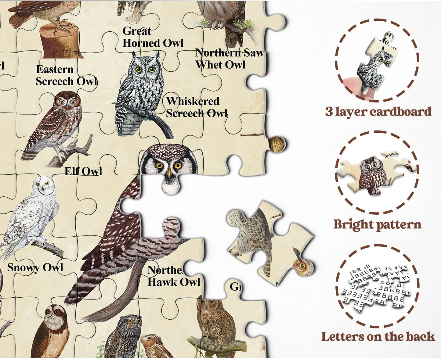 Owl Puzzles For Adults 1000 Pieces, Bird Animal Jigsaw Puzzle Features 21 Famous Owls Of North America, Nature Animal Puzzles As
