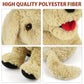 LotFancy Dog Stuffed Animals, 12 inch Cuddly Golden Retriever Stuffed Animals, Sitting Puppy Dog Plush Toy, Birthday Gift for Ki
