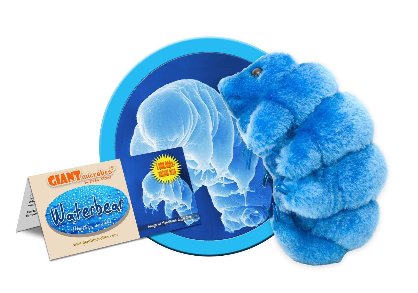 Giantmicrobes Tardigrade Plush, Water Bear Plush Toy, Biology Gifts, Microbiology Gifts, Tardigrade Stuffed Animal, Tardigrade Gifts, Tardigrade Toy