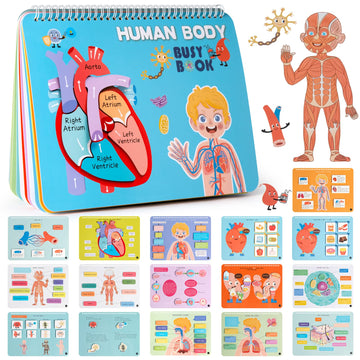 Freebear Montessori Busy Book For Kids, Human Body Anatomy Book For Toddlers, Preshool Kindergarten Learning Activities, Autism