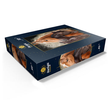 Mypuzzle Horse Hug - Premium 100 Piece Jigsaw Puzzle - Made In Usa