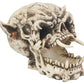 Ytc Demon Skull - Collectible Figurine Statue Figure Sculpture Skeleton
