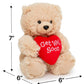 Ganz 9'' Get Well Soon Gifts For Kids Get Well Soon Gifts For Women Feel Better Teddy Bear With Red Heart Stuffed Animal For Com