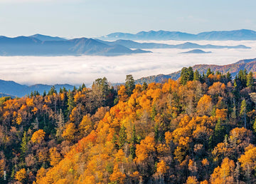 Beduke Jigsaw Puzzles 1000 Pieces For Adults Great Smoky Mountain National Park 1000 Piece Puzzle Thick Sturdy Precise Interlock