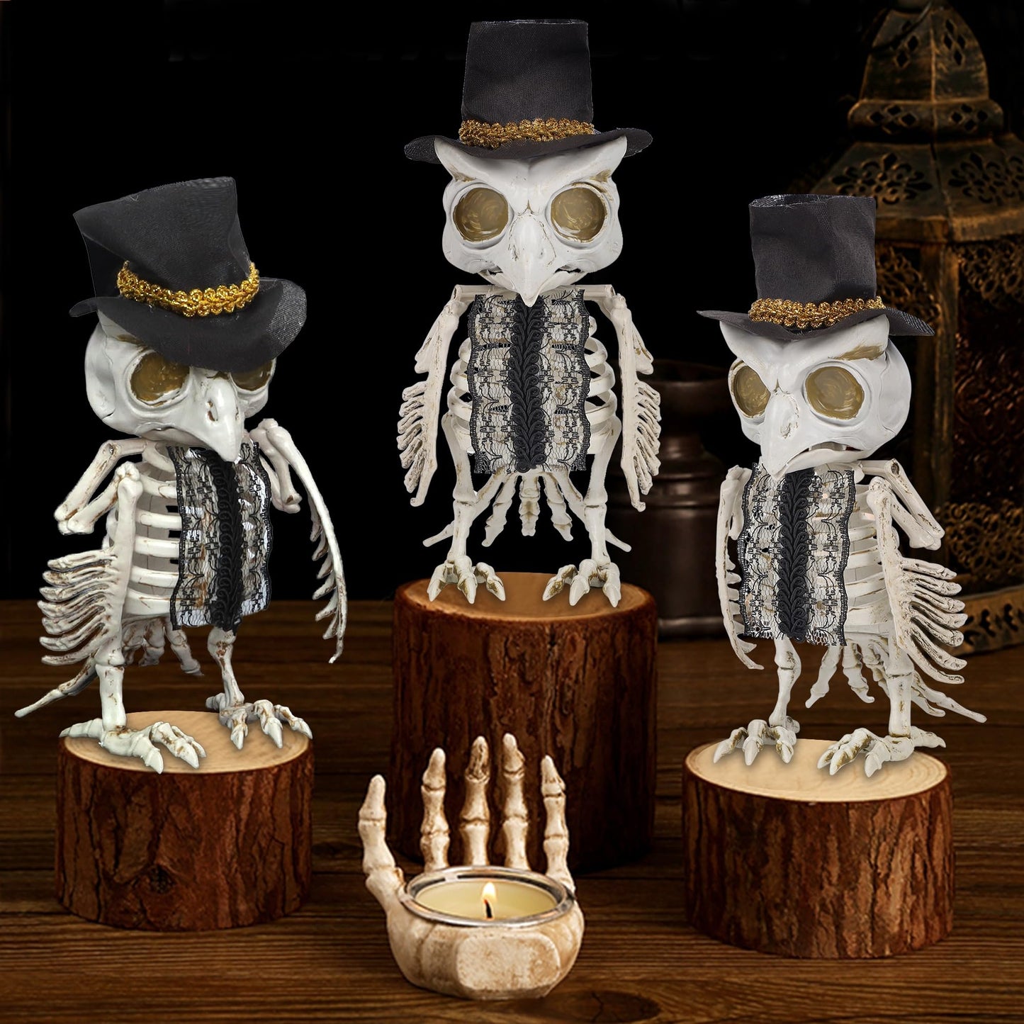 Dr.Dudu 3 Pack Halloween Skeleton Owl Decor, Life Size Animals Skeletons Plastic Skull Decorations Halloween Birds Figurines Dec
