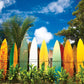 Surfer'S Paradise, Hi