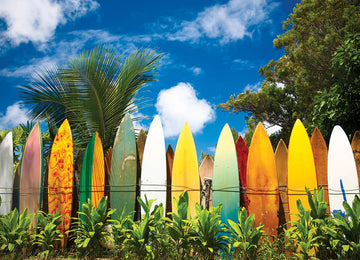 Surfer'S Paradise, Hi