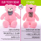 Ikasa Giant Teddy Bear Plush Toy Stuffed Animals (Pink, 30 Inches)