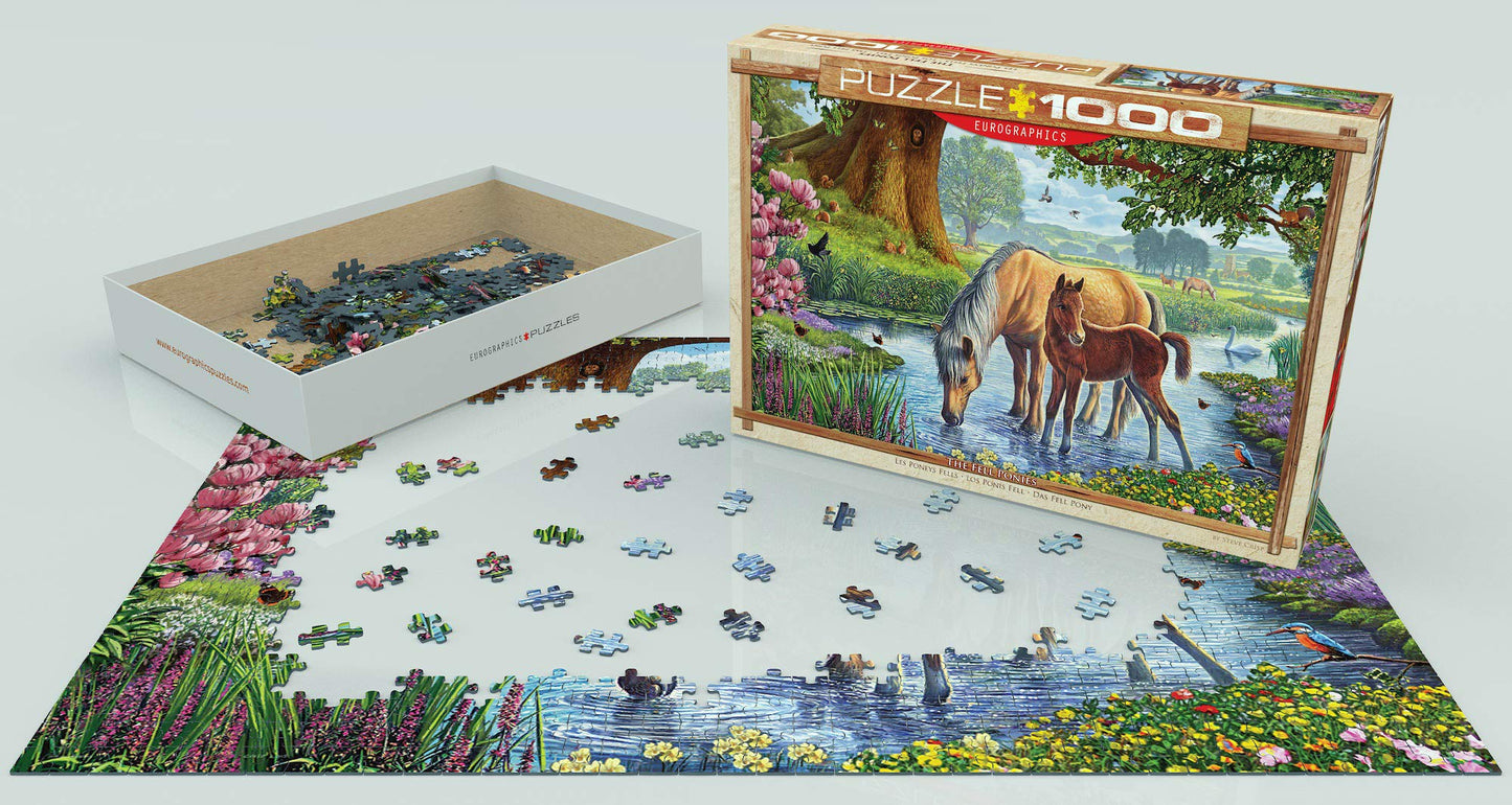 The Fell Ponies By Steve Crisp