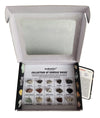 Rocksmins Ir15Wm Collection Set Of 15 Igneous Rocks For School Education Rocks Samples Activity Geology Volcanic Rock Memory Gre