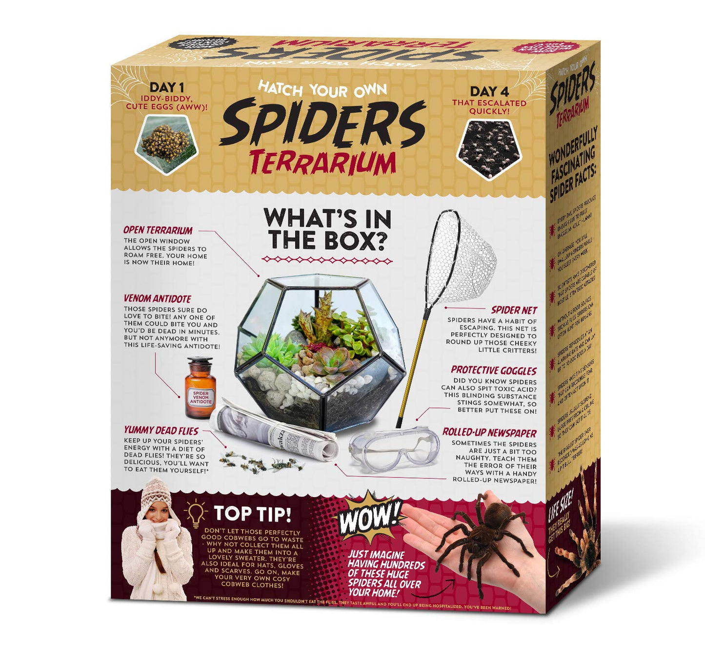 Prank Gift Box Hatch Your Own Spider Terrarium - Perfect Gag Gift And Funny White Elephant Idea