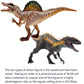 Gemini&Genius Spinosaurus Action Figure with Moveable Jaw, T-Rex Dinosaur Toy for Kids, Early Science Dino Education, Collectibl