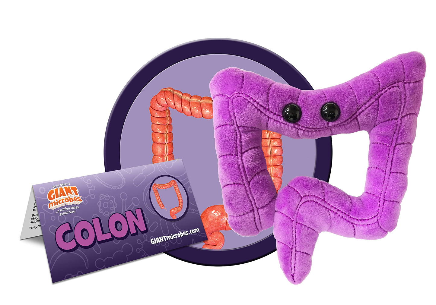 Giantmicrobes Colon Plush, Colonoscopy Gifts, Funny Colon Gifts, Colon Cancer Gifts, Gastroenterology Gifts, Colorectal Cancer Awareness, Gastroenterologist Gifts, Guts Plush Toy, Endoscopy Gifts