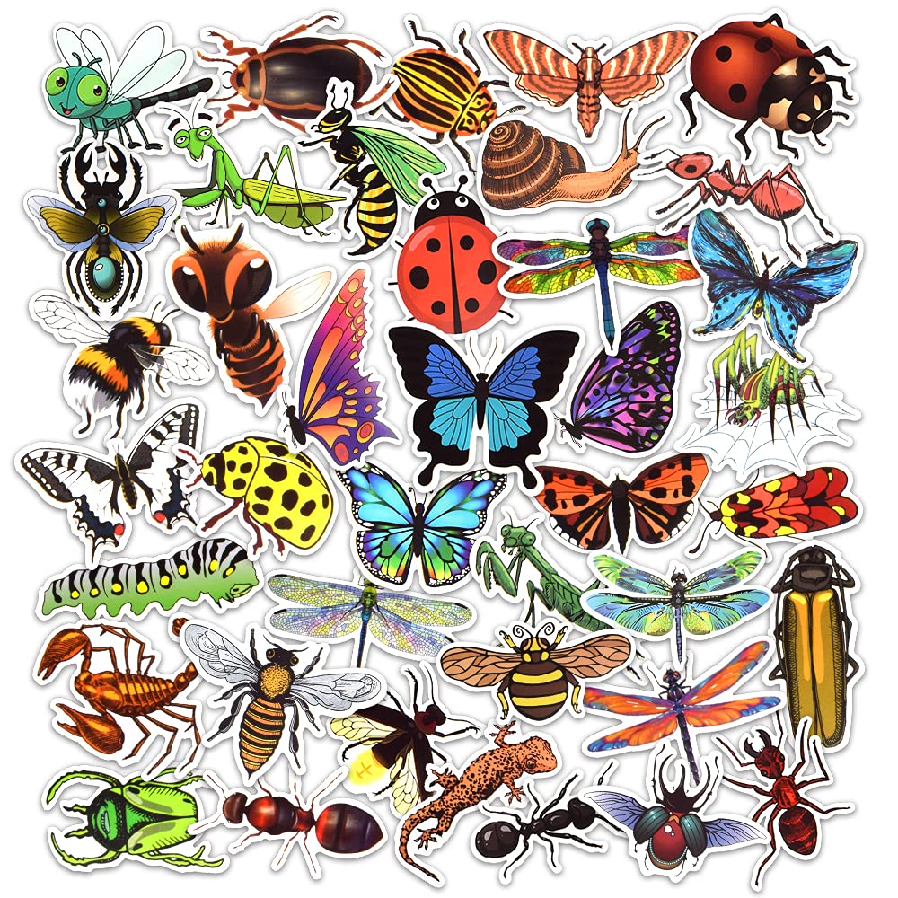 Detickers Bug Stickers For Kids Insect Stickers For Scrapbooking For Teachers Stickers For Water Bottles Waterproof Insect Stick