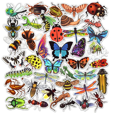 Detickers Bug Stickers For Kids Insect Stickers For Scrapbooking For Teachers Stickers For Water Bottles Waterproof Insect Stick