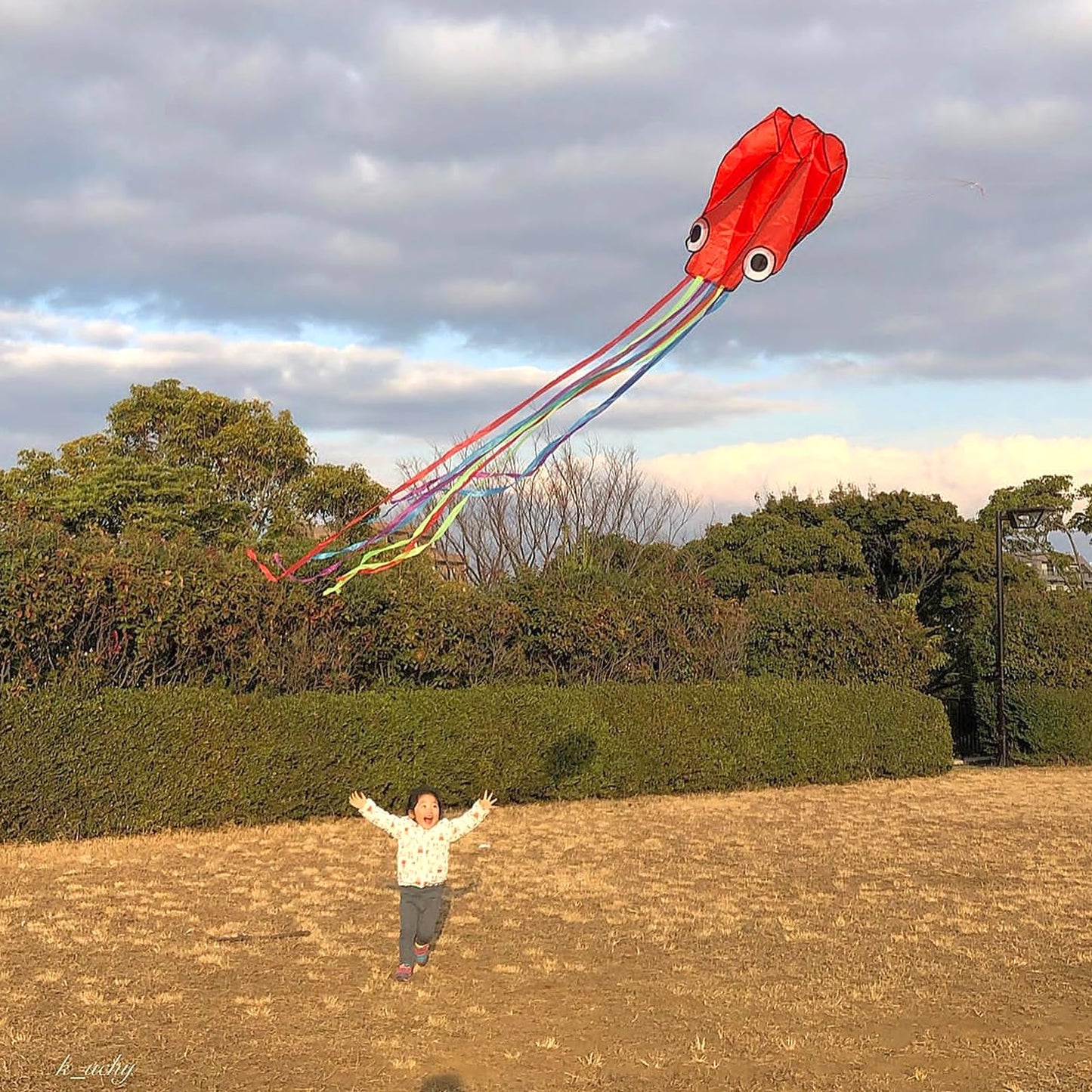 Kaiciuss 3 Pack Octopus Kites For Kids & Adults Easy To Fly, 24   X 158    Large Soft Kite Kit For Boys And Girls, Single Line 3
