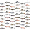 Pasimy 8 Pcs Fish Party Decoration Banner Fish Garland Birthday Party Supplies for Fisherman Competition Tournament Retirement B