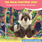 Forest & Twelfth 12'' Stuffed Raccoon Plush, Heirloom Collection Stuffed Animal, Premium Materials, Best Gift For Kids Age 3+, N