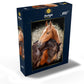 MyPuzzle.com 1000 Piece Jigsaw Puzzle - Horse Hug - Premium Cardboard - Made in USA - Black