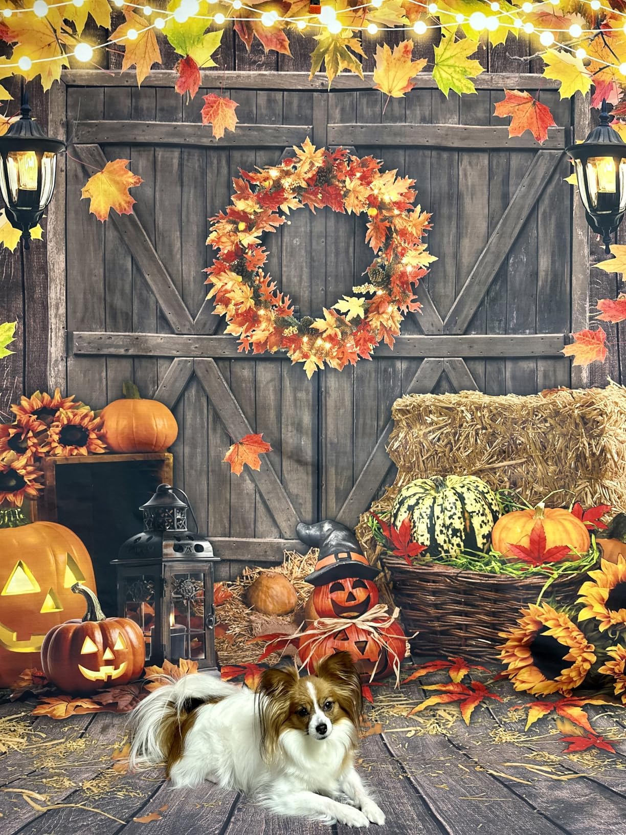 Fall Thanksgiving Backdrop Autumn Harvest Maple Leaf Pumpkin Photography Background Rustic Wooden Floor Barn Door Banner Friends