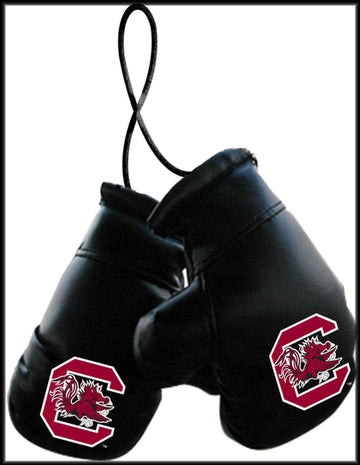 Ncaa South Carolina Mini Gloves, One Size, Multicolor