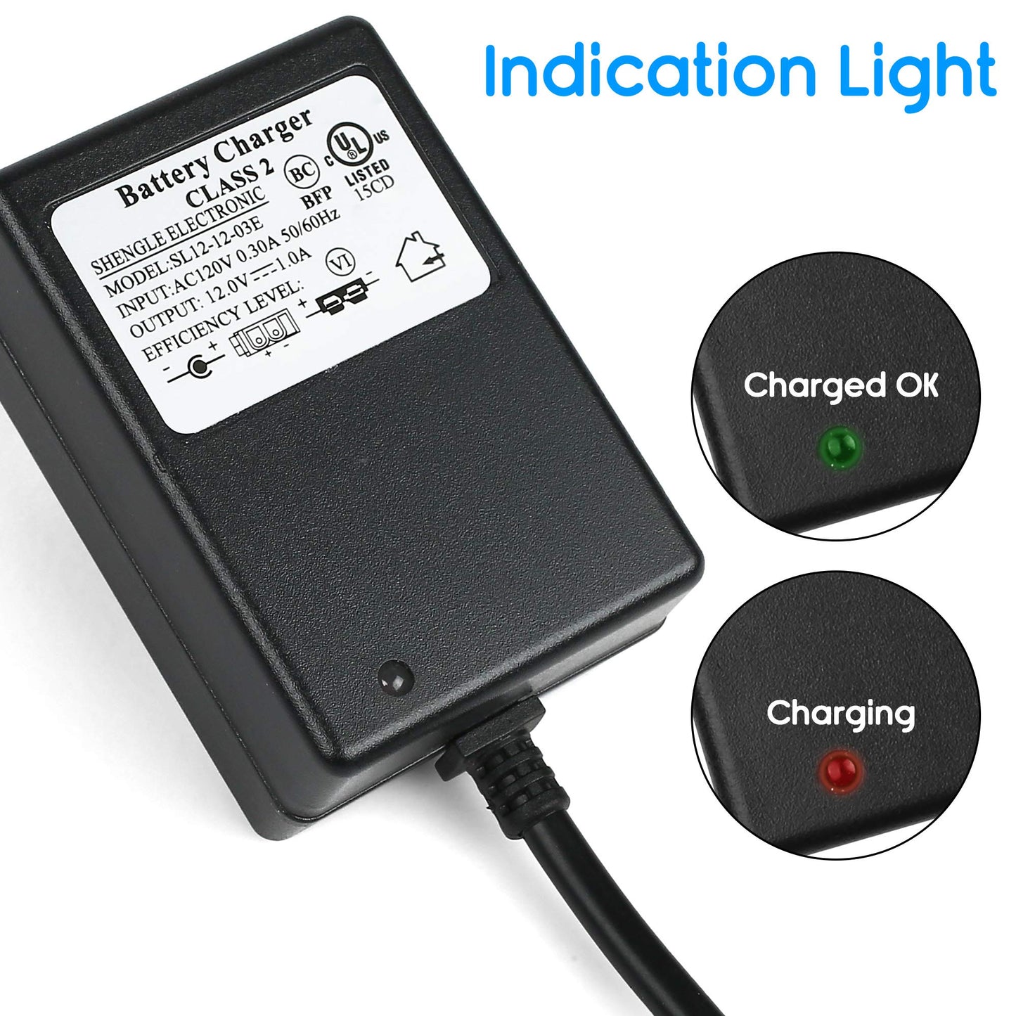 Lotfancy 12V Battery Charger For Kids Ride On Toys, Power Supply Adapter For Yamaha Raptor 700R, Toyota Fj Cruiser, Megatredz, M