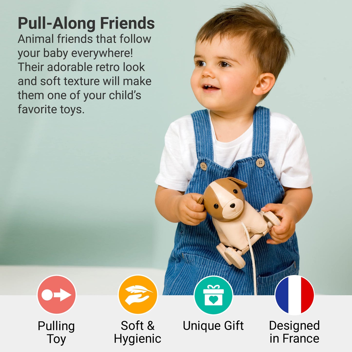 Little Big Friends Pull Along Friends | Pull Along Toy For Baby | Traditional Toys | Easy To Clean | Adrien The Dog