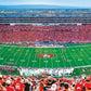 Masterpieces 1000 Piece Sports Jigsaw Puzzle - Nfl Detroit Lions Center View Panoramic - 13''X39''