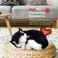 Original Petzzz Black And White Shorthair Kitten, Realistic, Lifelike Stuffed Interactive Pet Toy, Breathing Pets, Companion Pet Cat With 100% Handcrafted Synthetic Fur – Perfect Petzzz