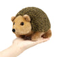 Ice King Bear Wild Animal Small Stuffed Animals Zoo Family Plush Toy (Hedgehog 6 Inches)