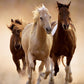 Clementoni Running Horses Puzzle (1000-Piece)