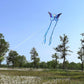 Butterfly Kite For Kids & Adults Easy To Fly, 55'' X 28'' Large Single Line For The Beach, Easy Flying Kite Comes With 300 Ft St