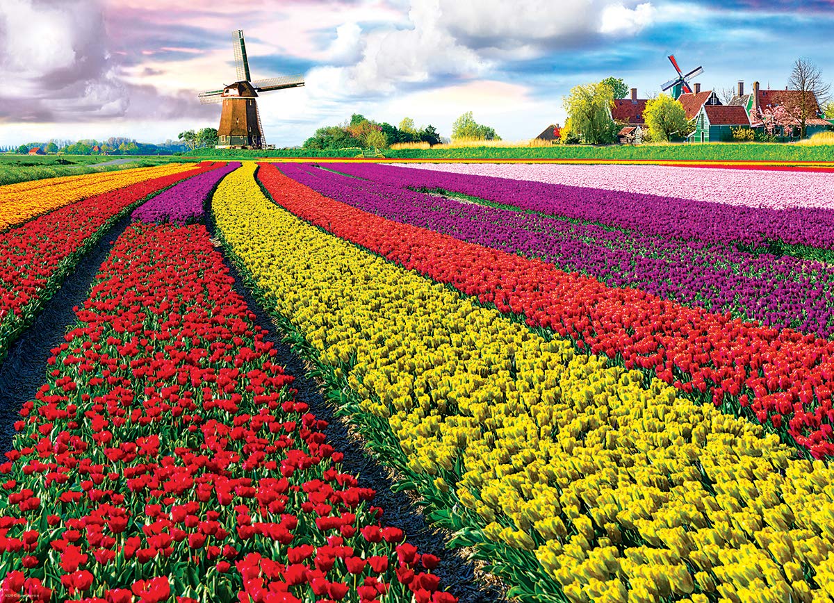 Eurographics (Eurhr Tulip Field - Netherlands 1000Piece Jigsaw Puzzle , Red