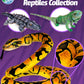 Real Planet Iguana Green 30 Inch Realistic Soft Plush