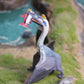 Gemini&Genius Pteranodon Toy For Kids, Quetzalcoatlus Dinosaur Toy, Pterodactyl Toy, Large Flying Dinosaur Toy, Realistic Pterna