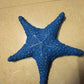 VVGIFTS Blue Ocean Beach Decoration Starfish Resin Wall Hanging Decoration (RoyalBlue)