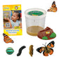 Insect Lore Cup Of Live Baby Caterpillars With Figurines | Butterfly Kit Refill - Plus Butterfly Life Cycle Stages Toy Figurines | 5 Painted Lady Caterpillars Shipped Now