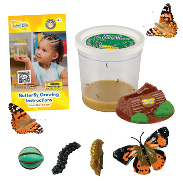 Insect Lore Cup Of Live Baby Caterpillars With Figurines | Butterfly Kit Refill - Plus Butterfly Life Cycle Stages Toy Figurines | 5 Painted Lady Caterpillars Shipped Now