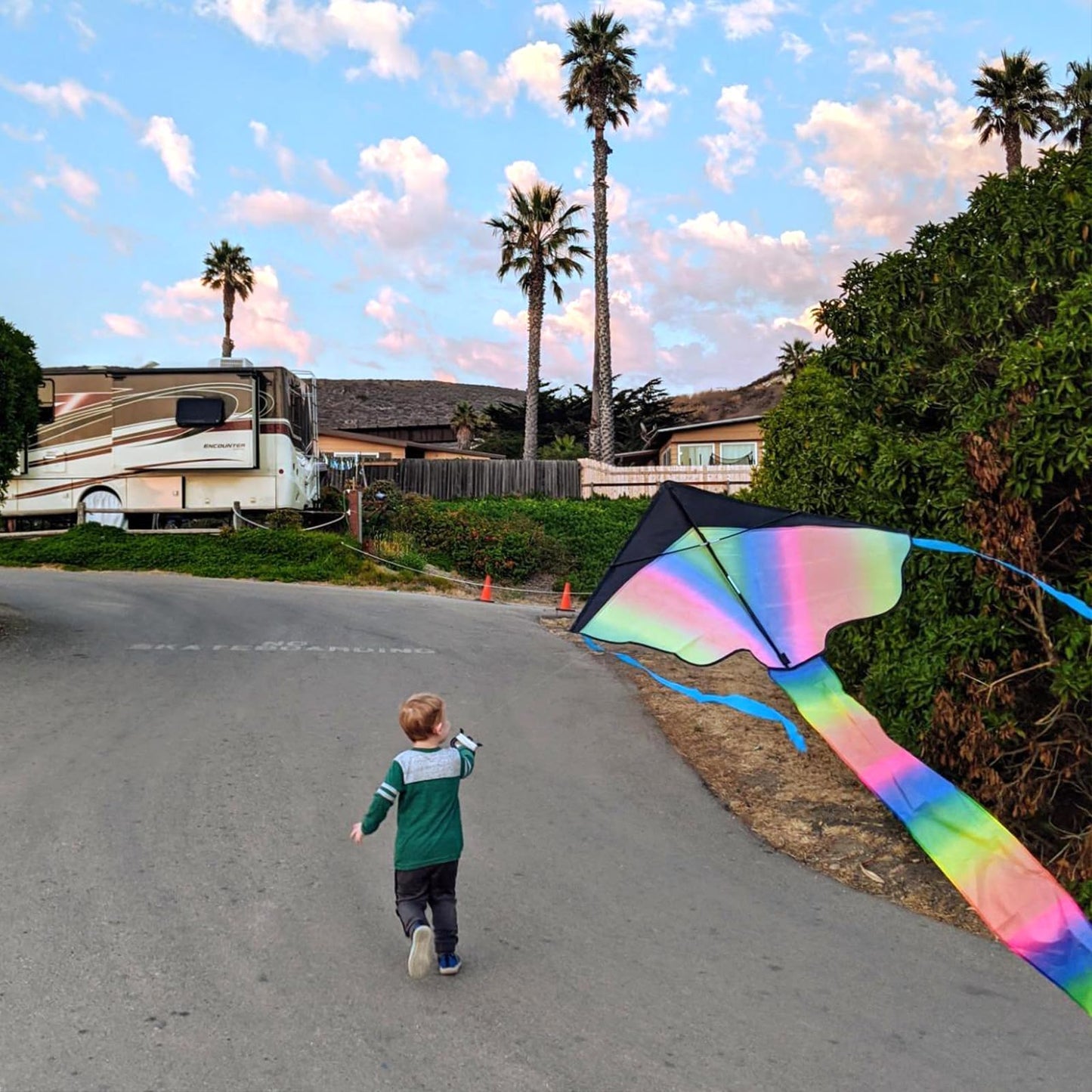 Simxkai 3 Pack Kites-Rainbow Delta Kite, Red Mollusc Octopus Kite, Blue Butterfly Kite Easy To Fly Beach Kites For Kids & Adults, Each Kite With 320Ft String Handle