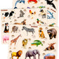 Quokka Wooden Puzzles For Toddlers 1-3 - 3Xset Toddler Puzzles Aes 2-4 - Montessori Animal Toy Puzzles For Toddlers 3-5 Year Old - Wood Toy Learning Realistic Animals For Boy And Girl
