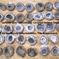 Genuine Huge Softball Sized Crystal Filled Los Choyas Geode Half on Free Custom Oak Stand