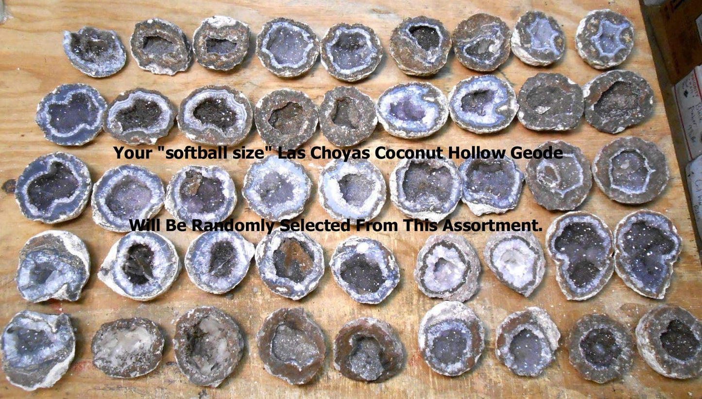 Genuine Huge Softball Sized Crystal Filled Los Choyas Geode Half on Free Custom Oak Stand