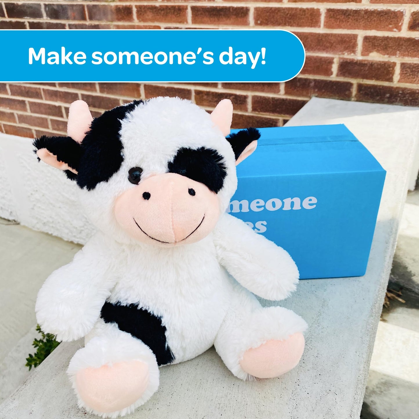 Sendafriend Cooper The Cow Stuffed Animal Care Package, Someone Loves You Box, Great Gift For Any Reason (Happy Birthday Notecar
