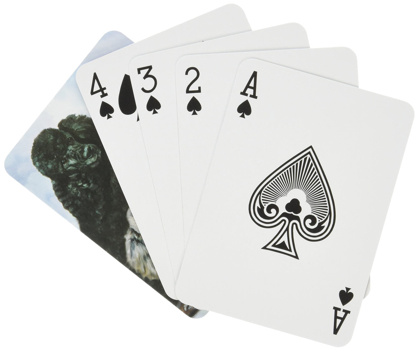 Best Friends Playing Cards, By Ruth Maystead - Poodle