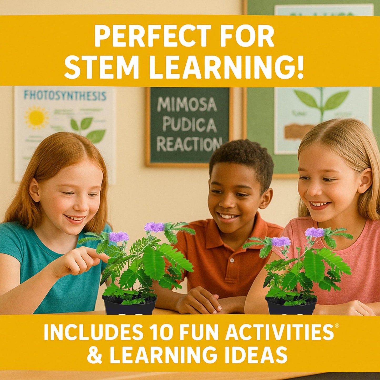 TickleMe Plant Classroom or Homeschool Science Fun Planting Party Kit - for 30 Students - Grow a Sensitive Plant That Reacts to