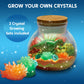 Klever Kits Dinosaur Crystal Terrarium Craft Kit for Kids - 16.3cm, LED Night Light, Model 60157, Perfect Birthday Gift