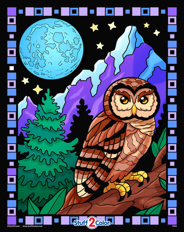 Midnight Owl Velvet Coloring Poster - All Ages Coloring for Kids, Toddlers, Teens, and Adults (Great for Arts and Crafts Colorin