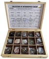 Rocksmins Mr15Wb Collection Set Of 15 Metamorphic Rocks In Wooden Box For Students Of School College Education Igneous Sedimenta